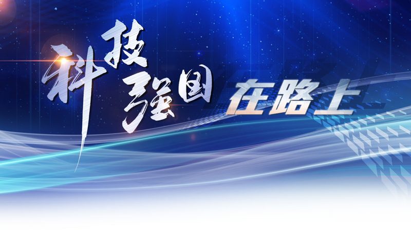 专精特新：聚焦细分领域，深耕细作
