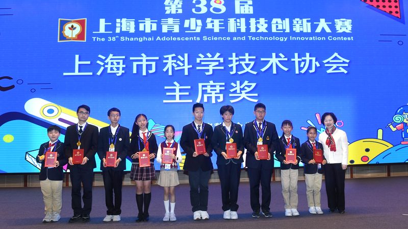 一级系统集成商资质要求解析：合规之路的关键要素**